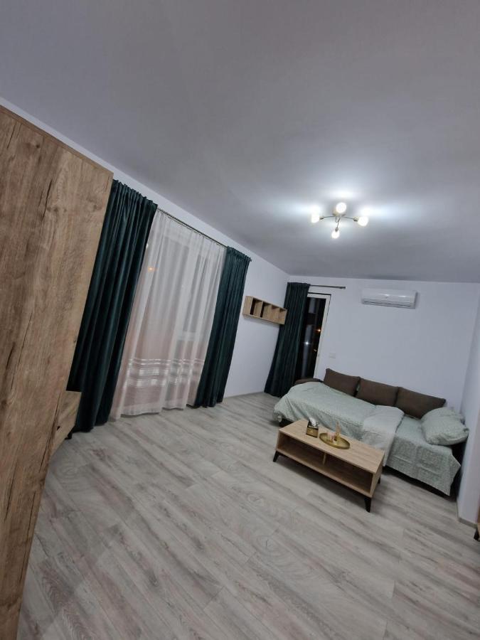 Apartament Modern Cu O Camera Apartment Timisoara Exterior photo